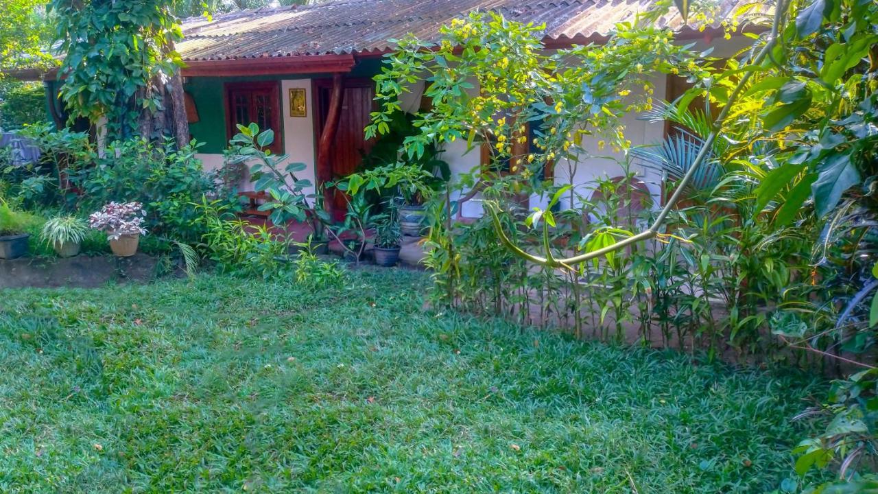 Gangula Eco Lodge Sigiriya Exterior foto